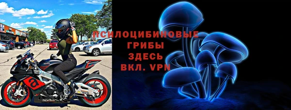 a pvp Абаза