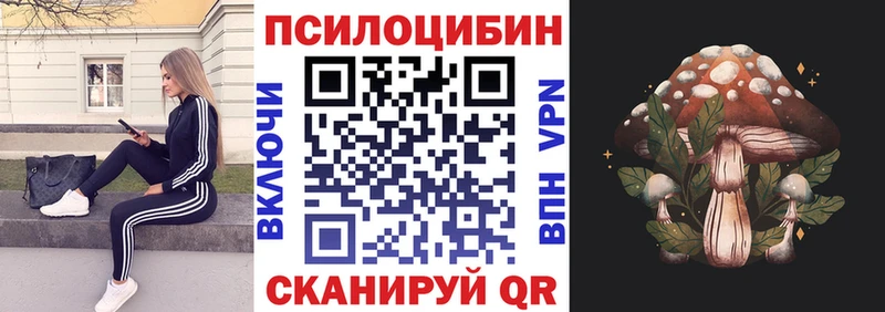 Псилоцибиновые грибы Psilocybe  Ужур 